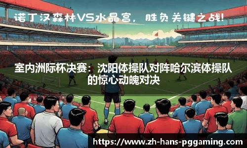 室内洲际杯决赛:沈阳体操队对阵哈尔滨体操队的惊心动魄对决